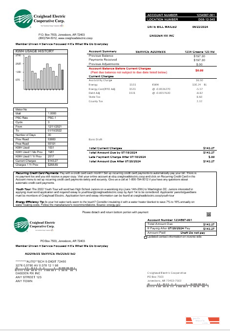 USA Craighead Electric business utility bill template in Word and PDF formats